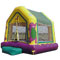 Rent our barnie bounce house in Dallas Texas